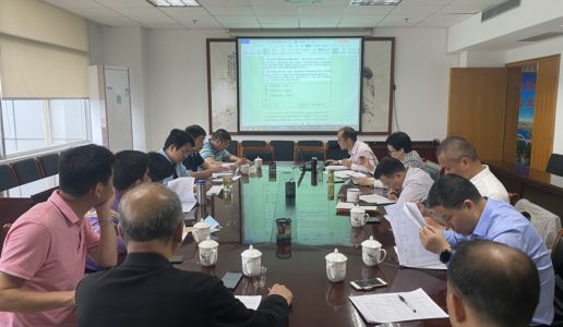 民盟市委召开2021年调研课题选题论证会