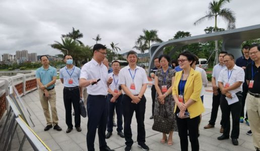 市政协民盟界别视察调研马銮湾新城建设