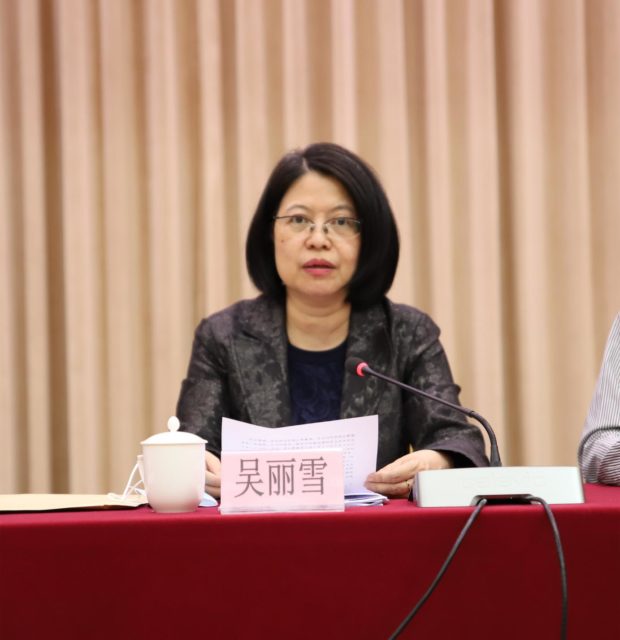 吴丽雪副主委讲话