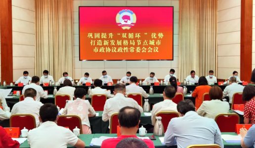 民盟市委参加市政协“巩固提升‘双循环’优势，打造新发展格局节点城市”议政性常委会议并作发言