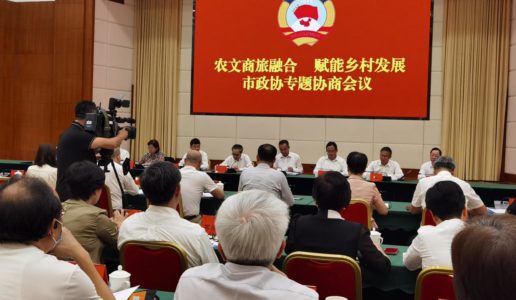 民盟市委参加市政协“农文商旅融合，赋能乡村发展”专题协商会议