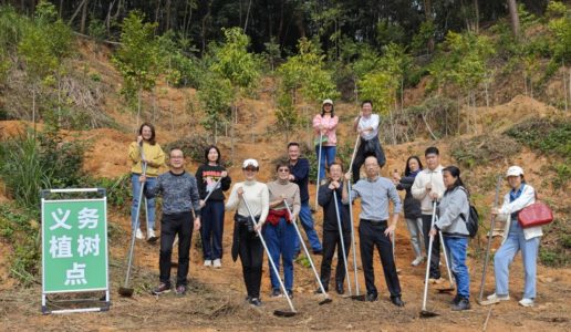 民盟厦门市委机关开展义务植树活动