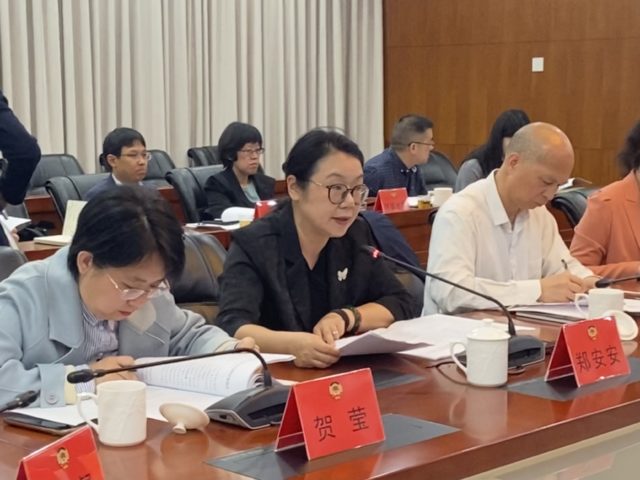 委员发言
